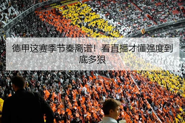 德甲这赛季节奏离谱！看直播才懂强度到底多狠（leyu）