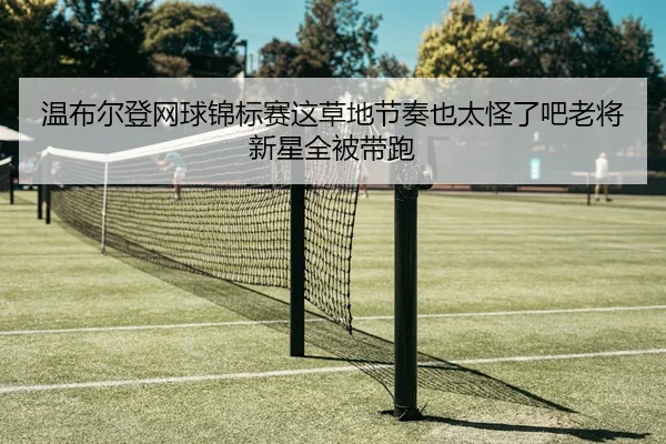 温布尔登网球锦标赛这草地节奏也太怪了吧老将新星全被带跑