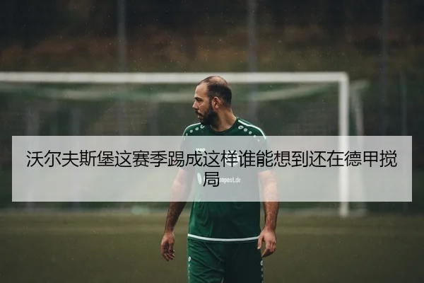 沃尔夫斯堡这赛季踢成这样谁能想到还在德甲搅局