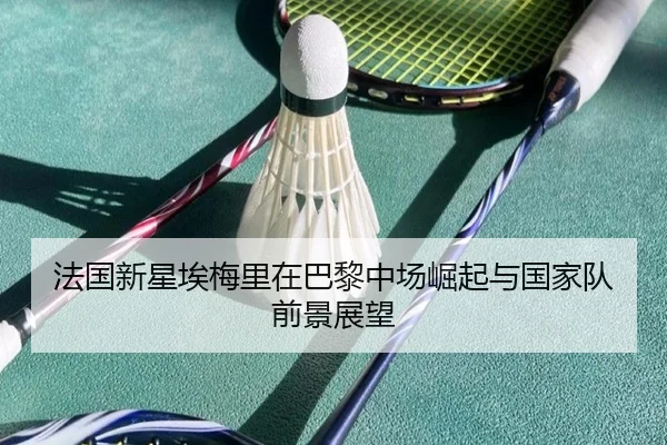 法国新星埃梅里在巴黎中场崛起与国家队前景展望（leyu）