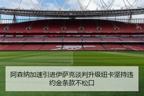 阿森纳加速引进伊萨克谈判升级纽卡坚持违约金条款不松口